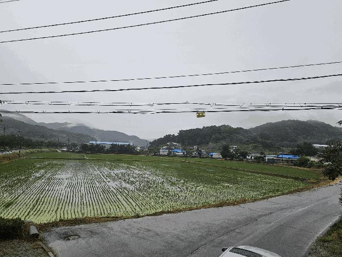 세종특별자치시 전동면 보덕리 388-1 답 경매 사진 4
