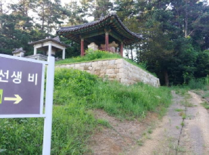 충청남도 금산군 금성면 양전리 522-19 전 경매 사진 18