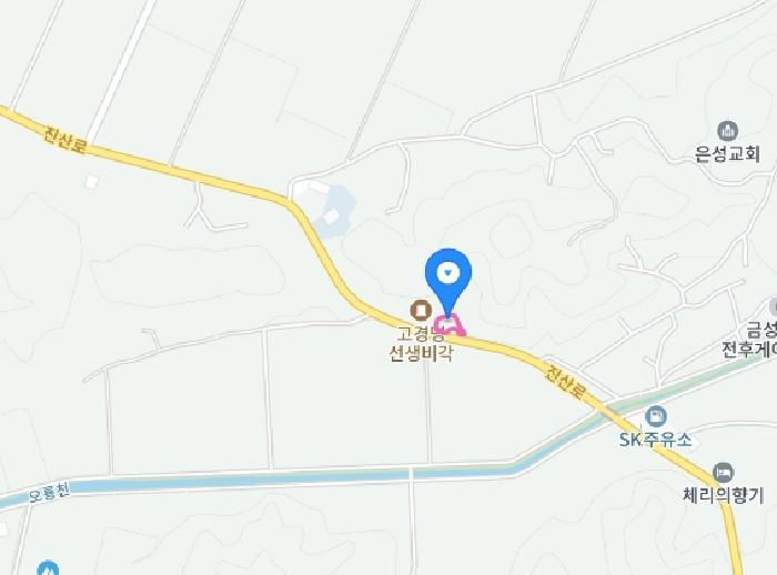 충청남도 금산군 금성면 양전리 522-19 전 경매 사진 22