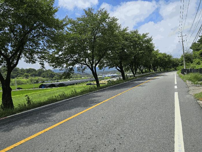 충청남도 금산군 금성면 양전리 522-19 전 경매 사진 3