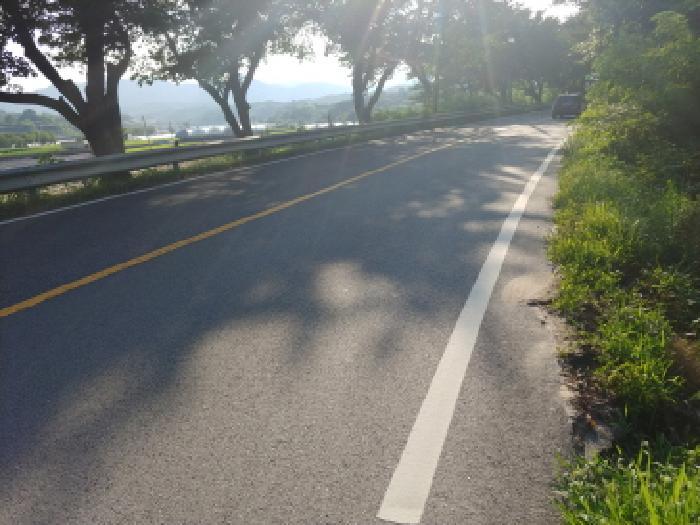 충청남도 금산군 금성면 양전리 522-19 전 경매 사진 7