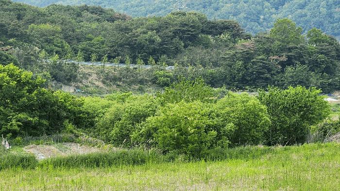 경상남도 김해시 상동면 우계리 714-8 답 경매 사진 1
