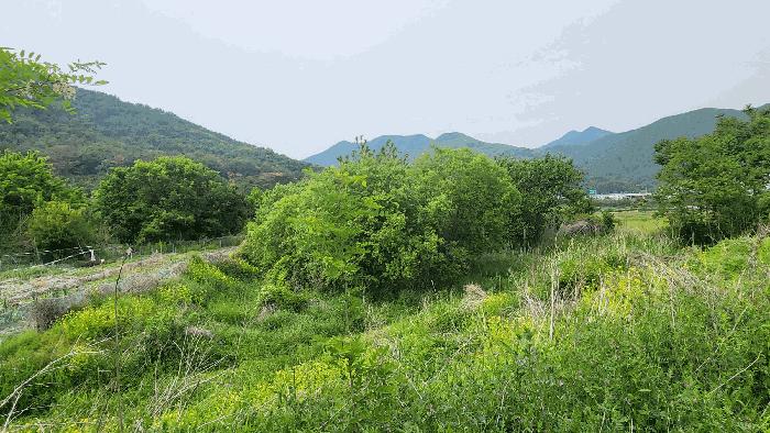 경상남도 김해시 상동면 우계리 714-8 답 경매 사진 2