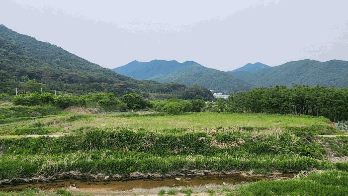 경상남도 김해시 상동면 우계리 714-8 답 경매 사진 4