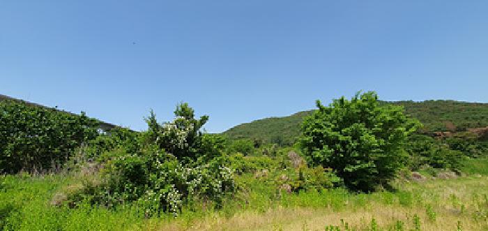경상남도 김해시 상동면 우계리 714-8 답 경매 사진 5