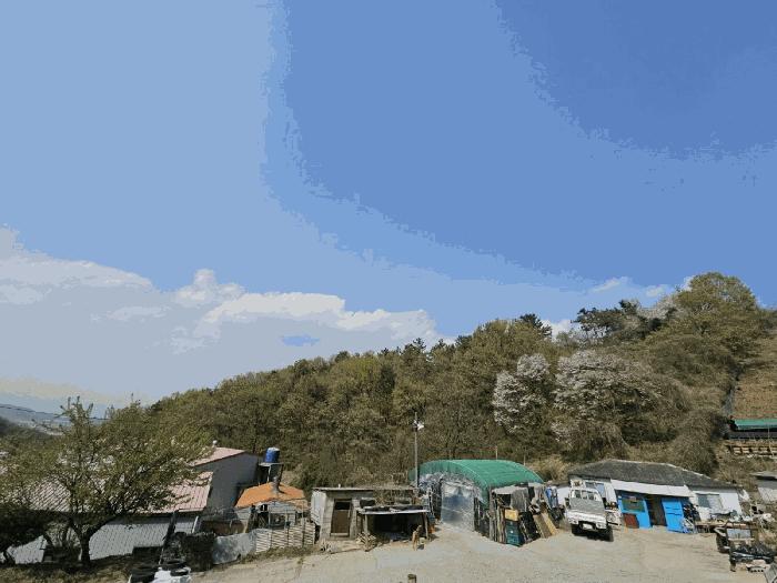 경상남도 김해시 임야