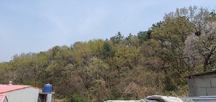 경상남도 김해시 한림면 명동리 산103-2 임야 경매 사진 5