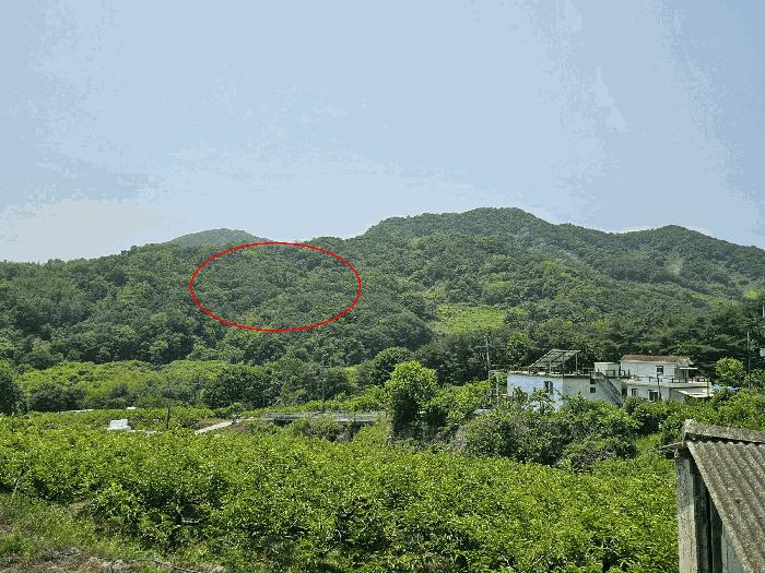경상남도 창원시 의창구 북면 내곡리 산199-4 임야 경매 사진 1