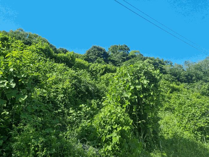 경상남도 김해시 진례면 신안리 860-1 창고 경매 사진 13