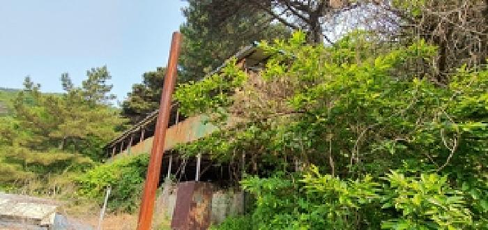 경상남도 김해시 진례면 신안리 860-1 창고 경매 사진 17