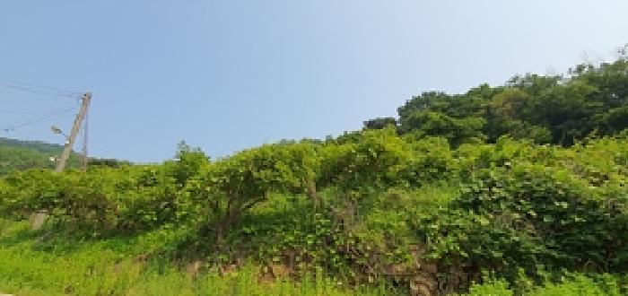 경상남도 김해시 진례면 신안리 860-1 창고 경매 사진 18