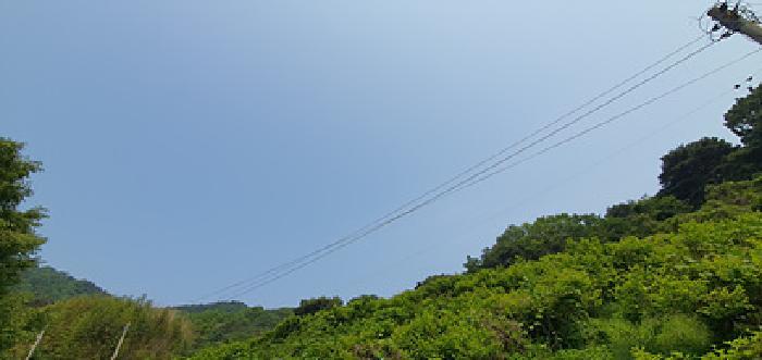 경상남도 김해시 진례면 신안리 860-1 창고 경매 사진 23