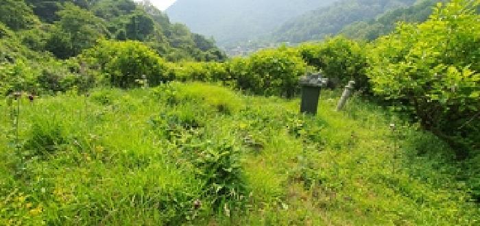 경상남도 김해시 진례면 신안리 860-1 창고 경매 사진 26