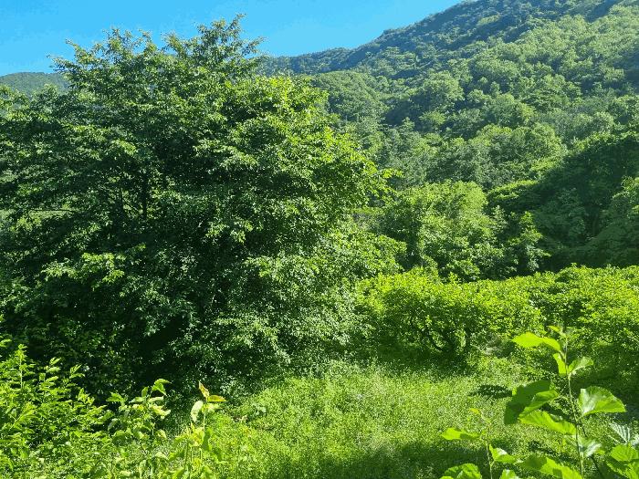 경상남도 김해시 진례면 신안리 860-1 창고 경매 사진 7
