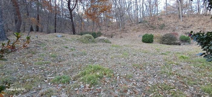 울산광역시 울주군 상북면 덕현리 산157-8 임야 경매 사진 11