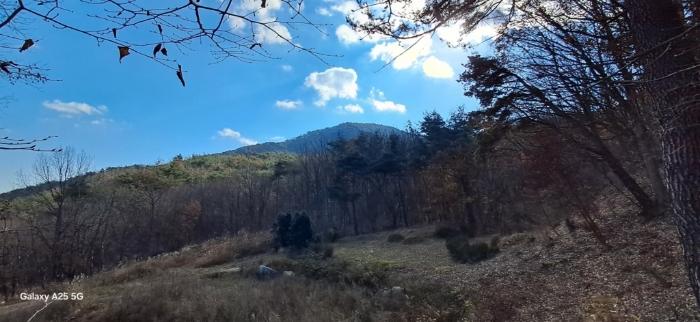 울산광역시 울주군 상북면 덕현리 산157-8 임야 경매 사진 6