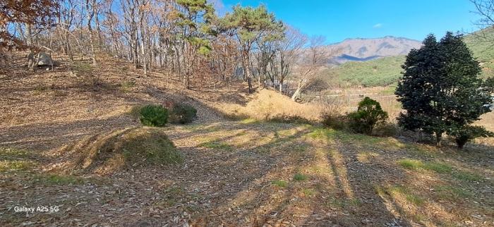 울산광역시 울주군 상북면 덕현리 산158 임야 경매 사진 12