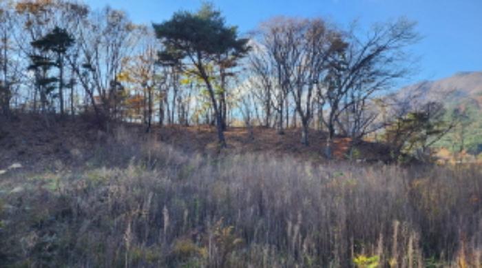 울산광역시 울주군 상북면 덕현리 산158 임야 경매 사진 14