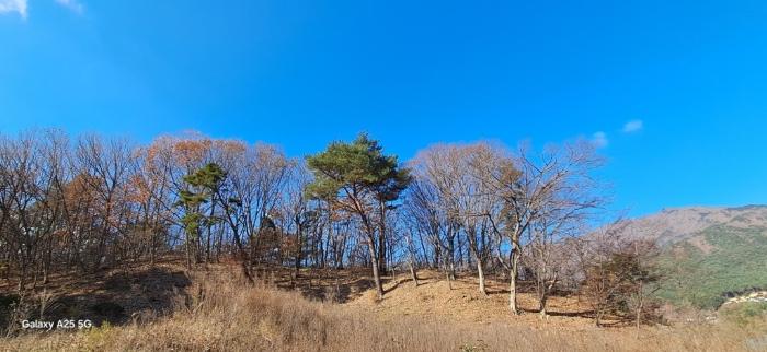 울산광역시 울주군 상북면 덕현리 산158 임야 경매 사진 4