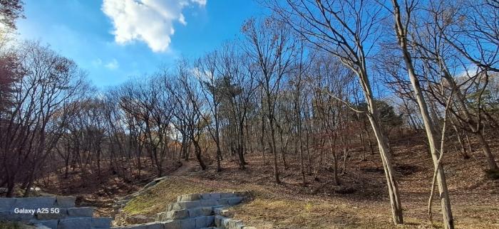 울산광역시 울주군 상북면 덕현리 산158 임야 경매 사진 9