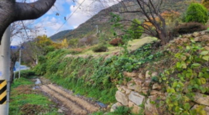 경상남도 양산시 원동면 용당리 산217 임야 경매 사진 14