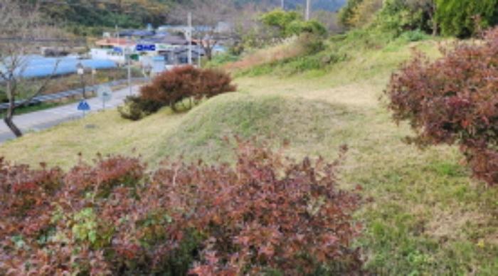 경상남도 양산시 원동면 용당리 산217-2 임야 경매 사진 13