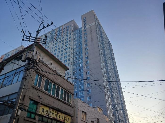 울산광역시 남구 월평로21번길 28, 2층101동213호 (신정동,문수로드림파크)구) 울산광역시 남구 신정동 569-2 오피스텔 경매 사진 1