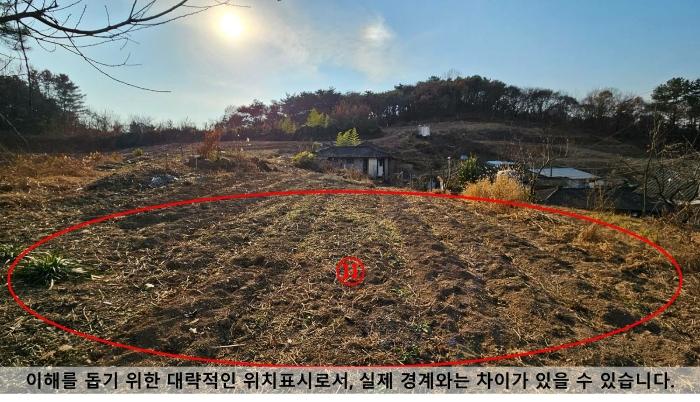경상남도 함안군 가야읍 가야리 393-1 임야 경매 사진 16