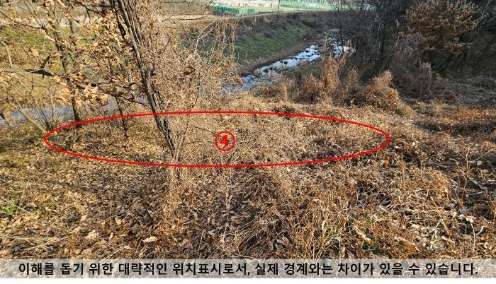 경상남도 함안군 가야읍 가야리 393-1 임야 경매 사진 2