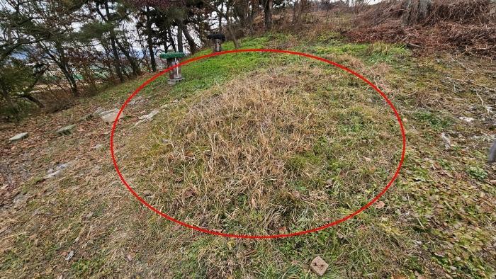 경상남도 함안군 가야읍 가야리 394-9 묘지 경매 사진 6