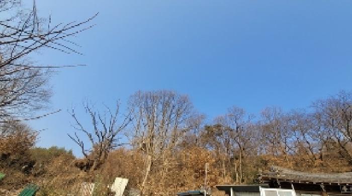 경상남도 함안군 대산면 장암리 1262 전 경매 사진 3