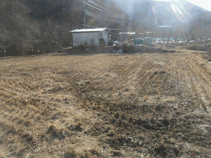 경상남도 함안군 함안면 파수리 1023-2 전 경매 사진 7
