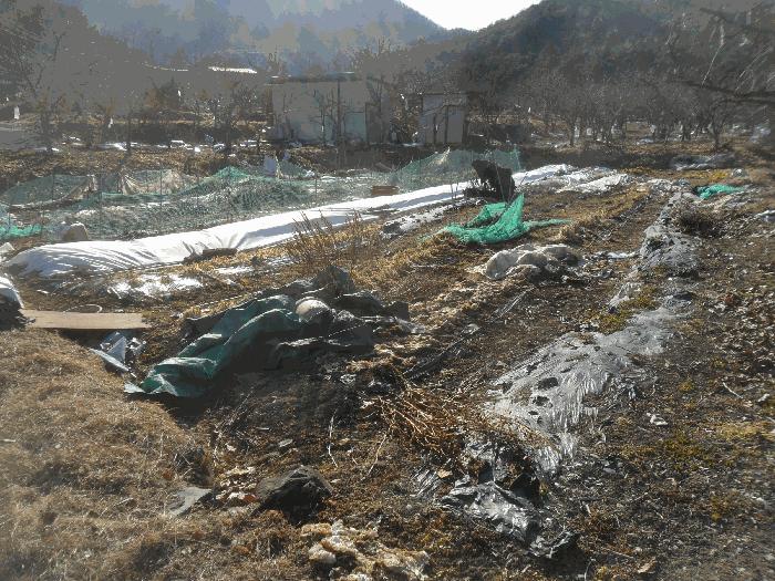 경상남도 함안군 함안면 파수리 1023-2 전 경매 사진 8