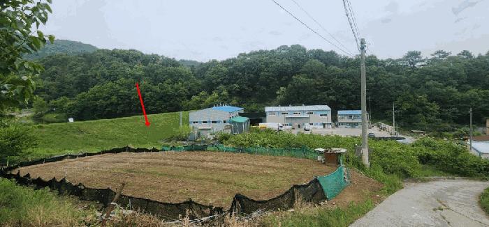 경상남도 함안군 칠서면 회산리 655-17 전 경매 사진 2