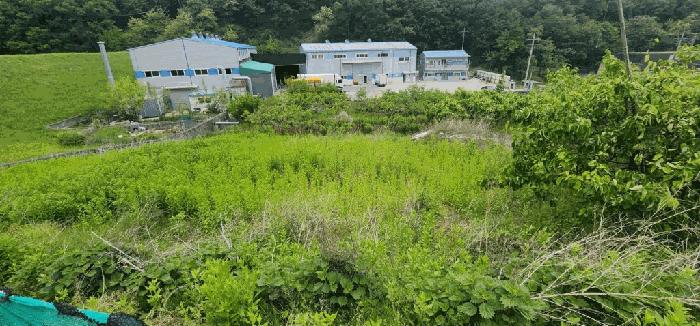 경상남도 함안군 칠서면 회산리 655-17 전 경매 사진 3