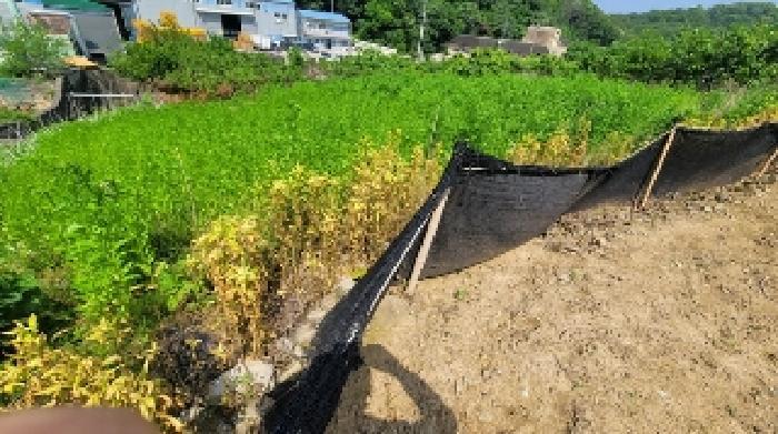 경상남도 함안군 칠서면 회산리 655-17 전 경매 사진 4
