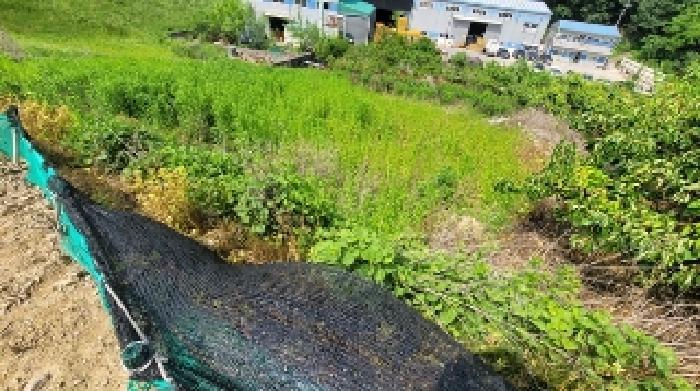 경상남도 함안군 칠서면 회산리 655-17 전 경매 사진 5