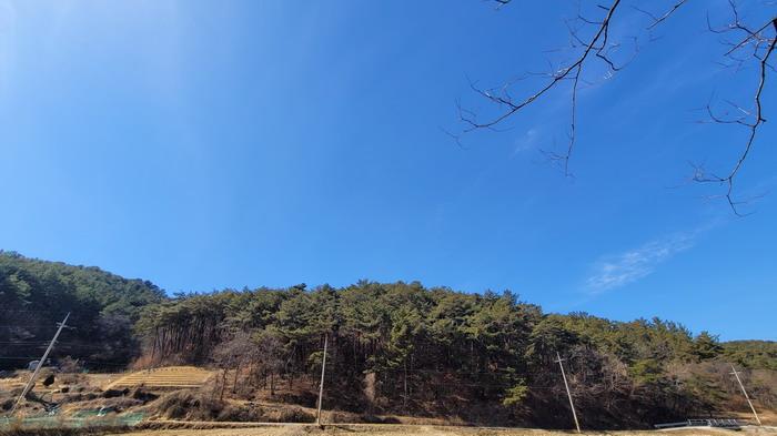 경상남도 함안군 가야읍 혈곡리 736 임야 경매 사진 6