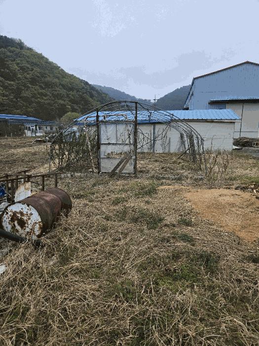 경상남도 함안군 함안면 강명리 513 답 경매 사진 1