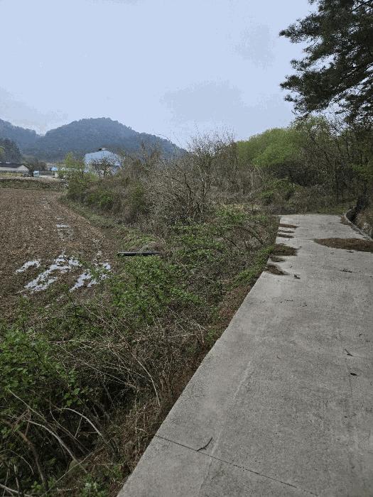 경상남도 함안군 함안면 강명리 513 답 경매 사진 3