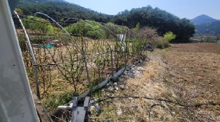 경상남도 함안군 함안면 강명리 513 답 경매 사진 8