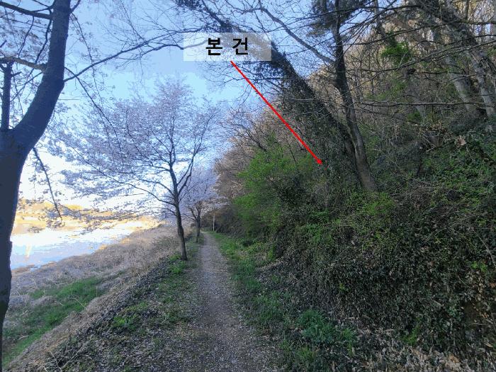 경상남도 함안군 임야