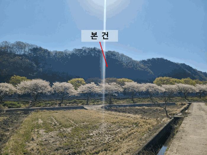 경상남도 함안군 가야읍 검암리 산42-1 임야 경매 사진 2