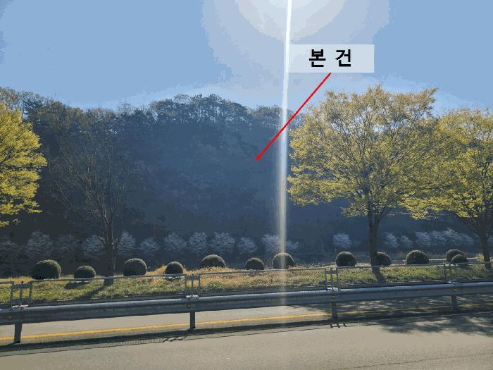 경상남도 함안군 가야읍 검암리 산42-1 임야 경매 사진 3