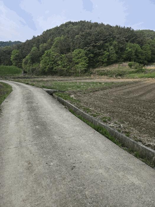 경상남도 함안군 대산면 옥렬리 1018-2 답 경매 사진 1