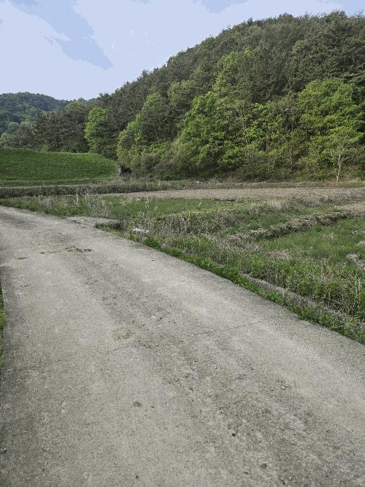 경상남도 함안군 대산면 옥렬리 1018-2 답 경매 사진 3