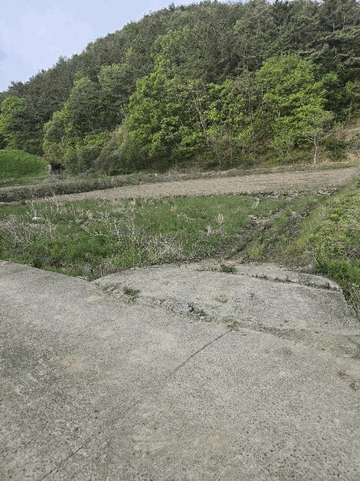 경상남도 함안군 대산면 옥렬리 1018-2 답 경매 사진 4