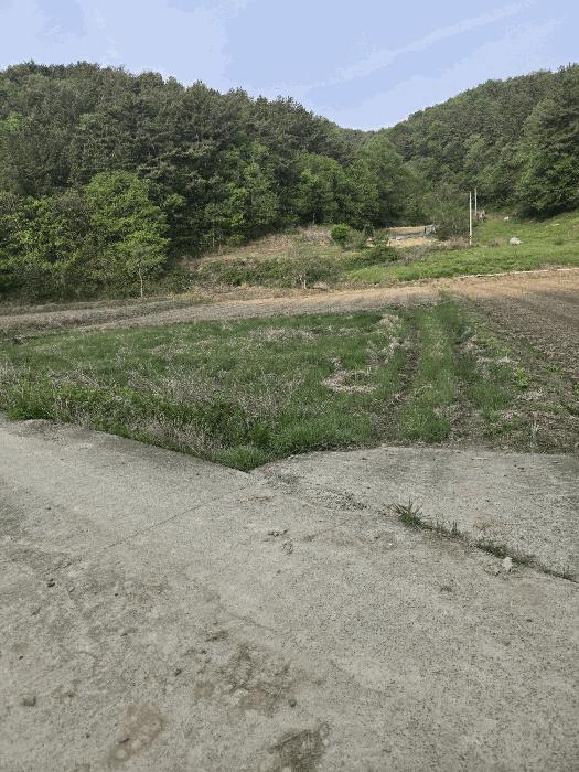 경상남도 함안군 대산면 옥렬리 1018-2 답 경매 사진 5
