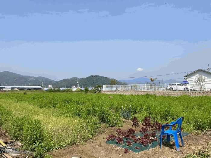 경상남도 함안군 군북면 월촌리 886-2 답 경매 사진 5