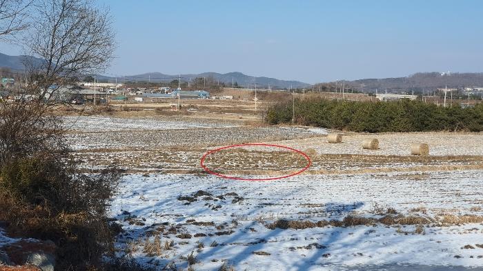 인천 강화군 답